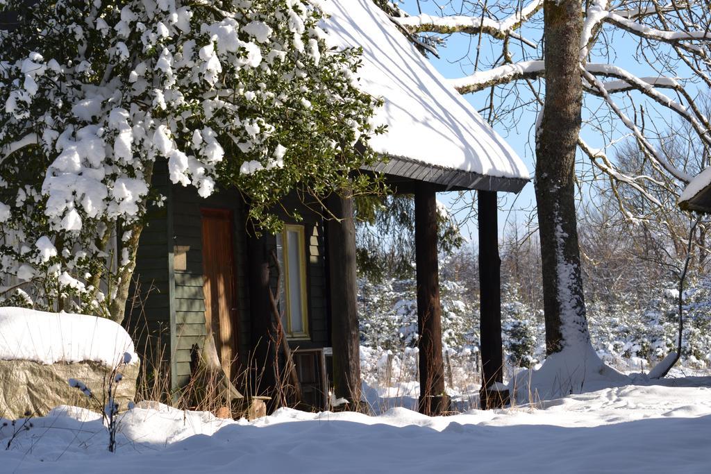 GruneLe Relais Du Moustierアパートメント エクステリア 写真